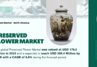 The global Preserved Flower Market stood at USD 178.5 Million and may reach USD 265.4 Million by 2029 with a CAGR of 6.8%.