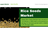 Global Rice Seeds Market was valued at USD 7.81 Billion in 2023 and may grow during the forecast with a CAGR of 6.7% by 2029.