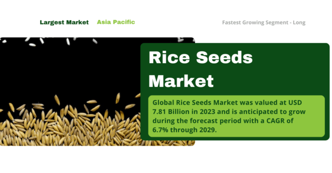 Global Rice Seeds Market was valued at USD 7.81 Billion in 2023 and may grow during the forecast with a CAGR of 6.7% by 2029.