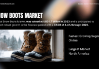 Global Snow Boots Market was valued at USD 1.7 billion in 2023 and may grow in the forecast with a CAGR of 4.4% through 2029.