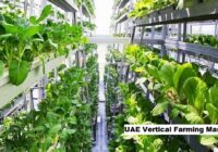 UAE Vertical Farming Market