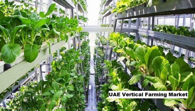 UAE Vertical Farming Market