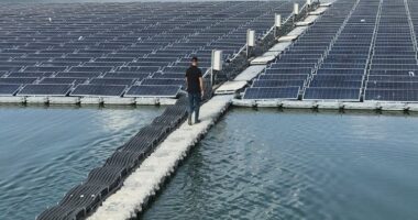 United States onshore floating solar market