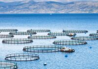 Vietnam Aquaculture Market