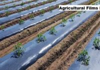 Global Agricultural Films Market