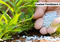 Global Coated Fertilizers Market