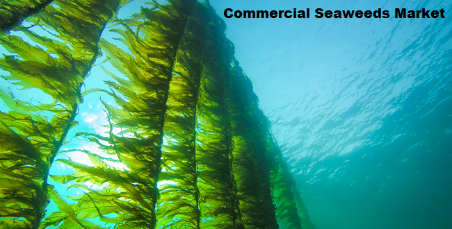 Global Commercial Seaweeds Market