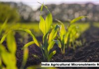 India Agricultural Micronutrients Market