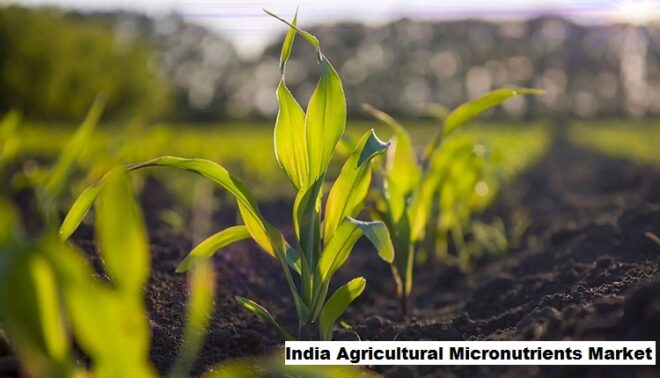 India Agricultural Micronutrients Market