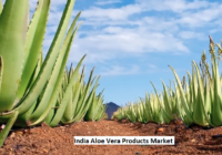 India Aloe Vera Products Market