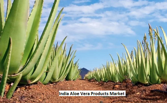 India Aloe Vera Products Market