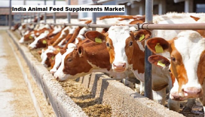 India Animal Feed Supplements Market