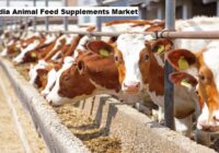 India Animal Feed Supplements Market