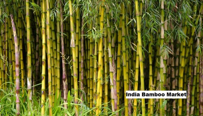 India Bamboo Market