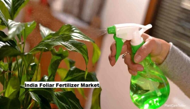 India Foliar Fertilizer Market