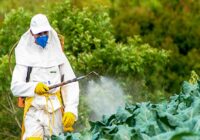 Indonesia Crop Protection Chemicals Market