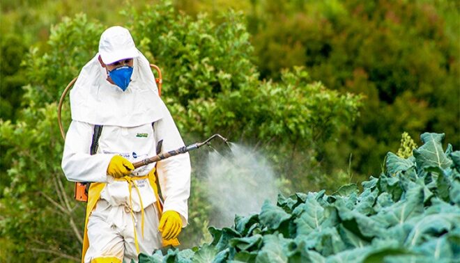 Indonesia Crop Protection Chemicals Market