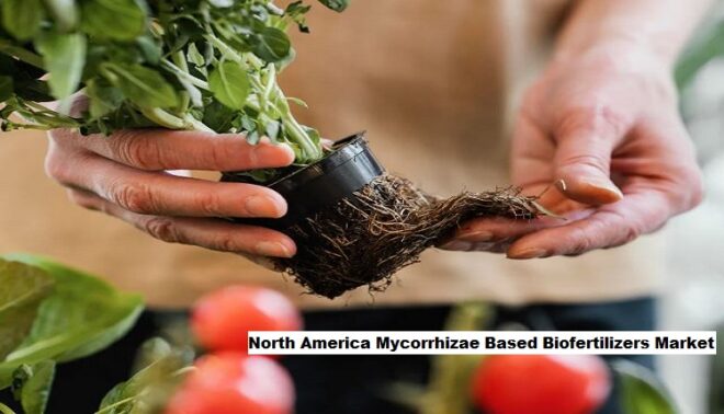 North America Mycorrhizae Based Biofertilizers Market