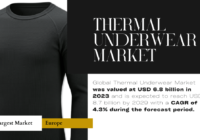 Global Thermal Underwear Market stood at USD 6.8 billion in 2023 and is expected to reach USD 8.7 billion by 2029 with a CAGR of 4.3%.