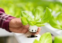 United States Hydroponics Market