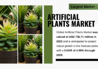 Artificial Plants Market Growth: Key Players & Projections to Reach USD 736.71 Million by 2029 [CAGR: 4.59%]. Click now to get a Free Sample.