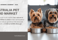 Australia Pet Food Market: Key Insights into Growth, Trends & Demand Projections (USD 2.3 Billion, 3.35% CAGR). Free Sample Report in PDF.