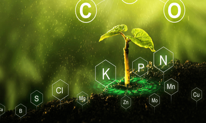 China Plant Growth Regulators Market