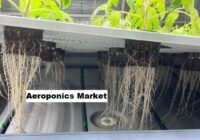 Global Aeroponics Market