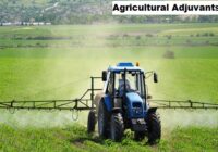 Global Agricultural Adjuvants Market