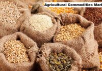 Global Agricultural Commodities Market