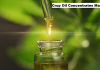 Global Crop Oil Concentrates Market