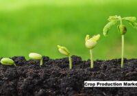 Global Crop Production Market