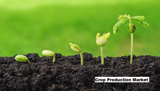 Global Crop Production Market