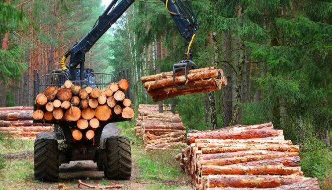 Global Forestry and Logging Market