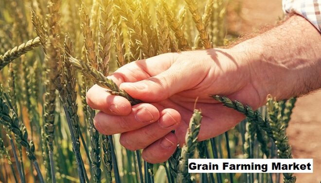 Global Grain Farming Market