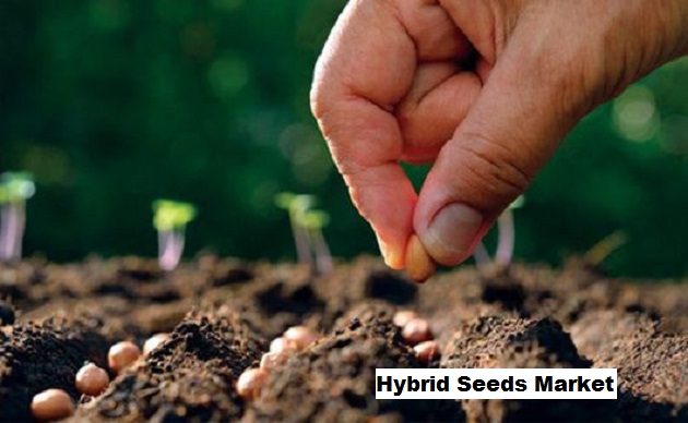 Global Hybrid Seeds Market