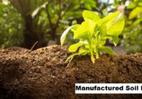 Global Manufactured Soil Market