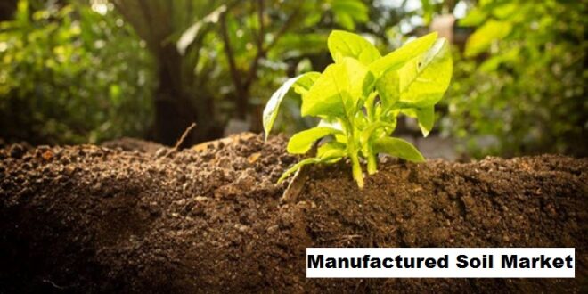 Global Manufactured Soil Market