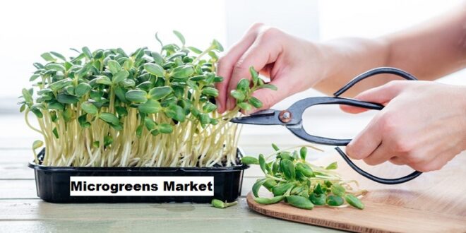 Global Microgreens Market