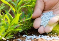 Global Polymer Coated Fertilizers Market