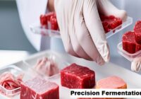 Global Precision Fermentation Market