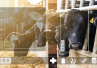 Global Precision Livestock Farming Market