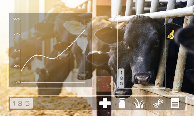 Global Precision Livestock Farming Market