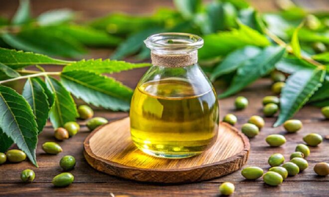 India Neem Extracts Market