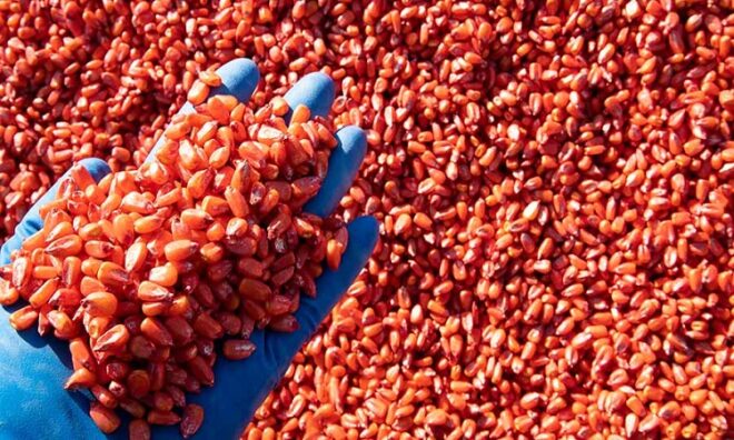 United Kingdom Seed Treatment Market