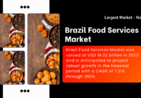 Brazil Food Services Market: Size & Growth Forecast – Valued at {USD 16.32 Billion}, Projected {CAGR of 7.31%} by 2029. Free Sample Report.