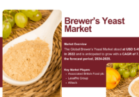 Brewer’s Yeast Market Growth: USD 5.45 Billion in 2022, Projected to Grow at 7.54% CAGR by {2028}. Get a Free Sample Report Now.