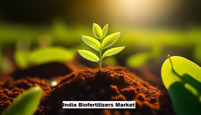 India Biofertilizers Market