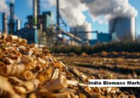 India Biomass Market