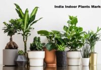 India Indoor Plants Market